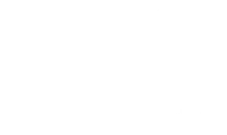 dsm-firmenich